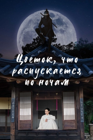 Цветок, что распускается по ночам (1 сезон) скачать торрент