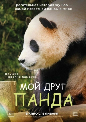 Мой друг панда 2024 скачать торрент